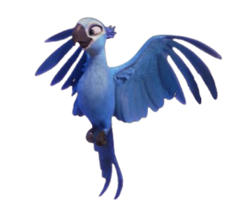Mavi Makav Papağanı