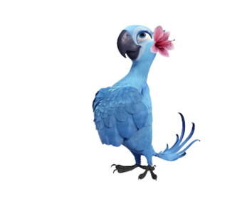 Mavi Makav Papağanı